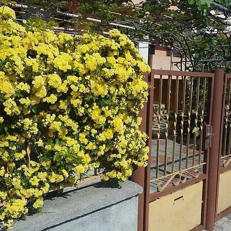 公寓 Apartment Zadar *